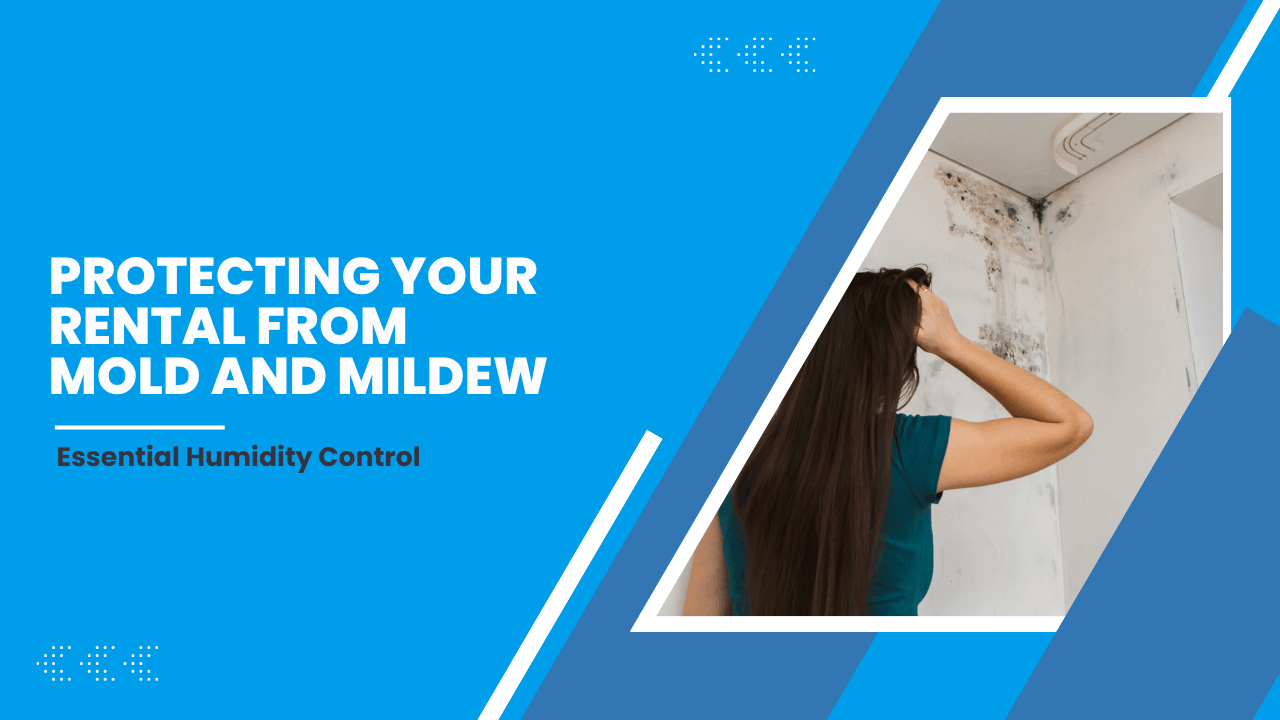 Essential Humidity Control: Protecting Your South Carolina Rental from Mold and Mildew