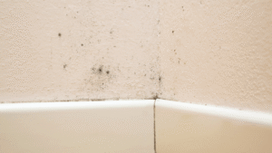 Close-up of mold spots growing along an interior wall and baseboard